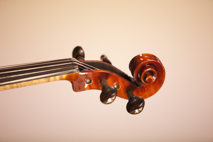 violin youth ensemble students